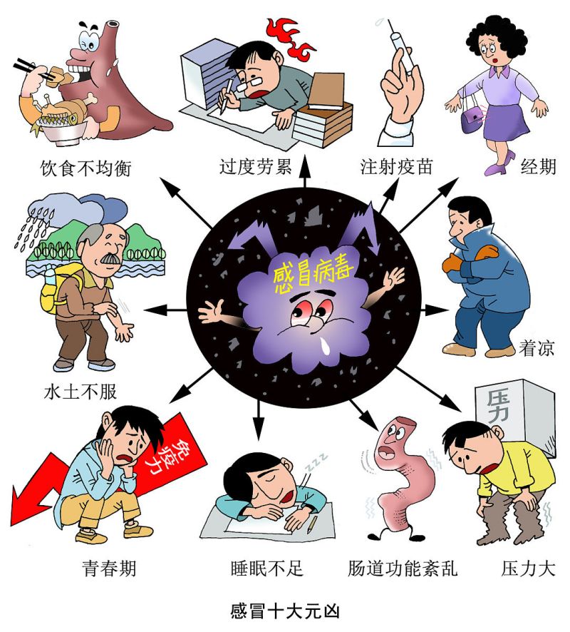 空气净化器活性炭-图1